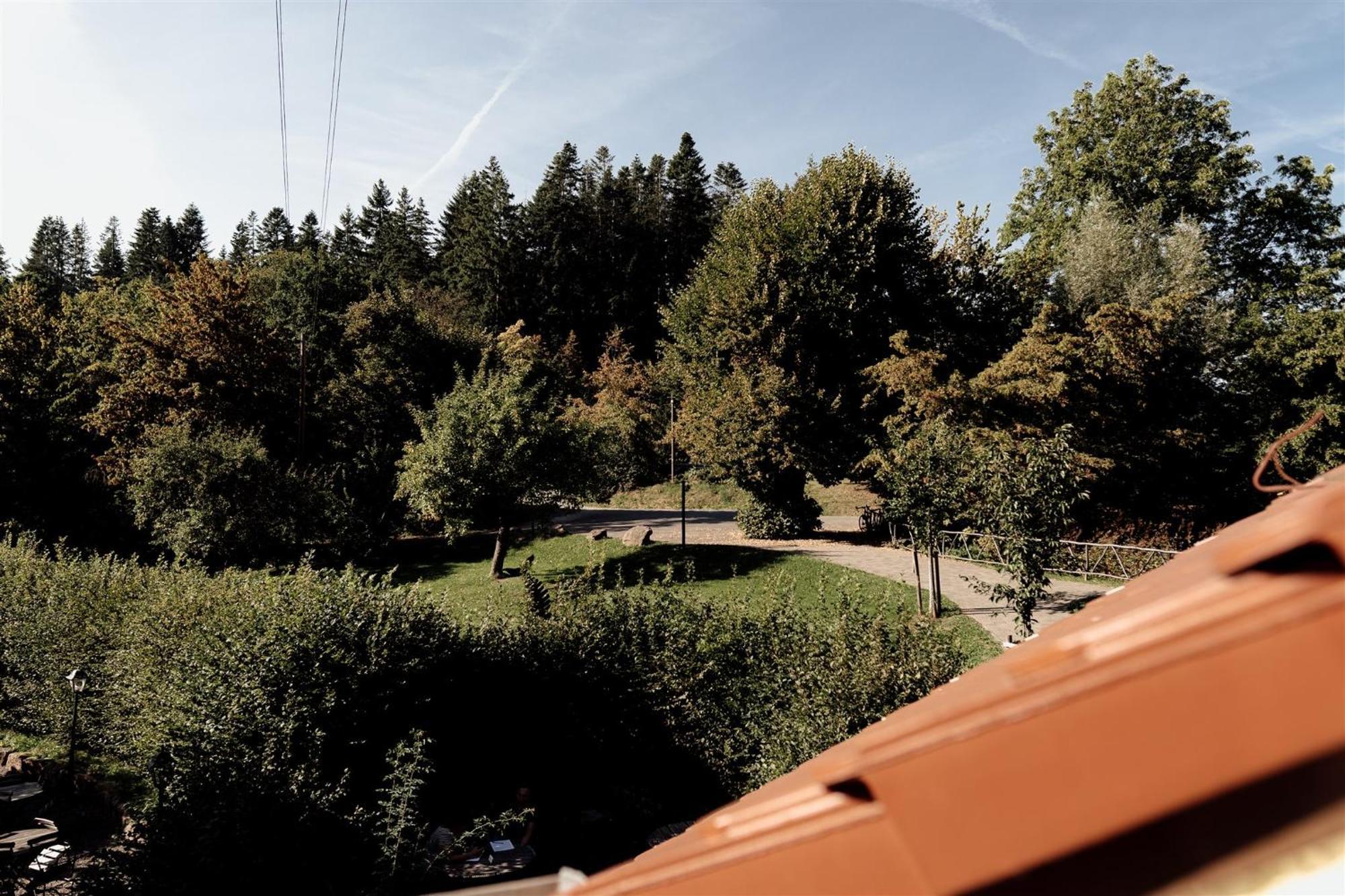 Hotel Dammuehle Marburg Eksteriør billede